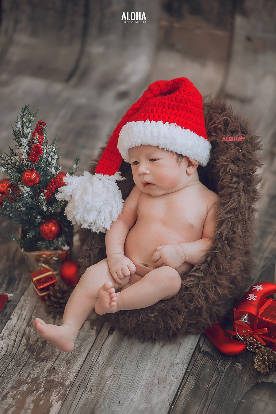 album ảnh giáng sinh newborn